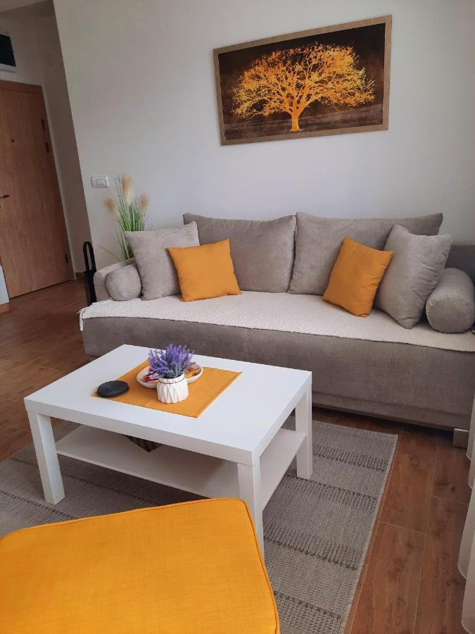 Bankovic Apartman Vrnjačka Banja Exterior foto